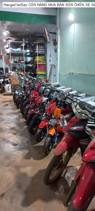 Danh Sách 2 Chùa, địa chỉ tâm linh tại Huyện Đắk Song Tỉnh Đắk Nông (Phần 2)