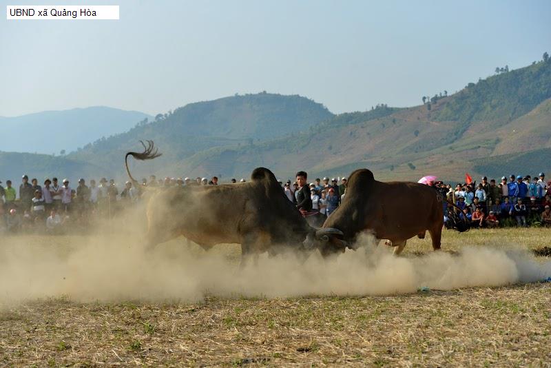 UBND xã Quảng Hòa