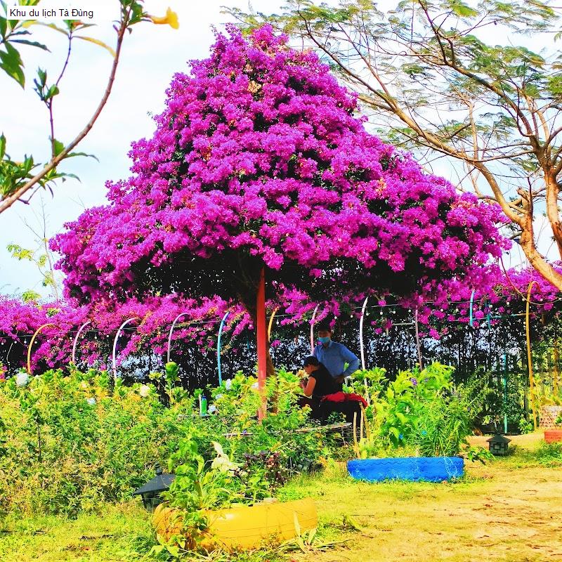 Khu du lịch Tà Đùng